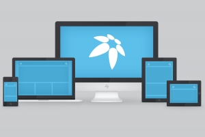 Modificare o rimuovere “Powered by Warp Theme Framework”